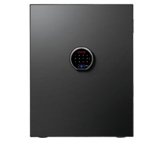 DIPLOMAT BEYOND PREMIUM FIRE SAFE STAINLESS STEEL PLATE 100 KG TITANIUM BLACK