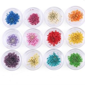 DRIED FLOWER  12 COLOURS- Creative Effects Set