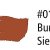 #011 Burnt Sienna