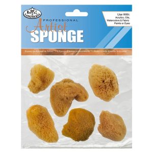 ROYAL & LANGNICKEL® 6pc Small Silk Sponge Set