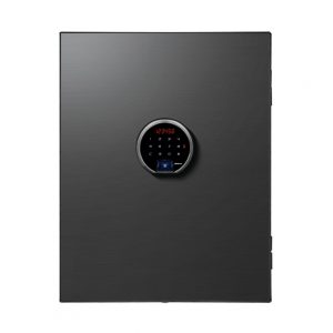 DIPLOMAT BEYOND PREMIUM FIRE SAFE STAINLESS STEEL PLATE 60 KG TITANIUM BLACK