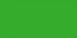 Neon Green Fluorescent 219