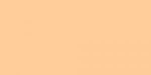 Buttercup Yellow Y141