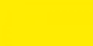 Primary Yellow Y221