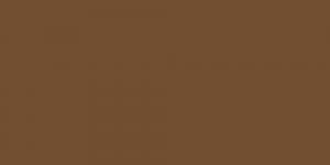 Raw Umber BR102