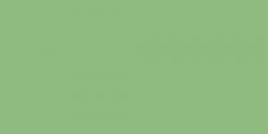 Cobalt Green Pale : G242