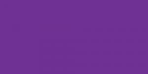 Deep Violet P81