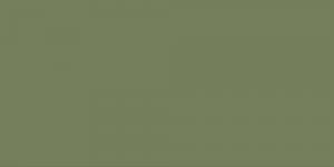 Bronze Green : Y42