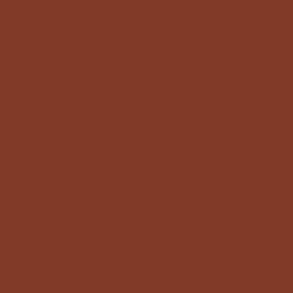 Burnt Sienna 411