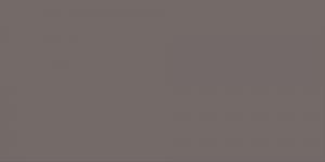 Warm Grey : WG7