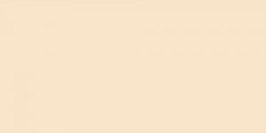 Buttercup Yellow : Y141