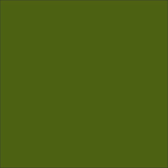 Moss Green (6018)