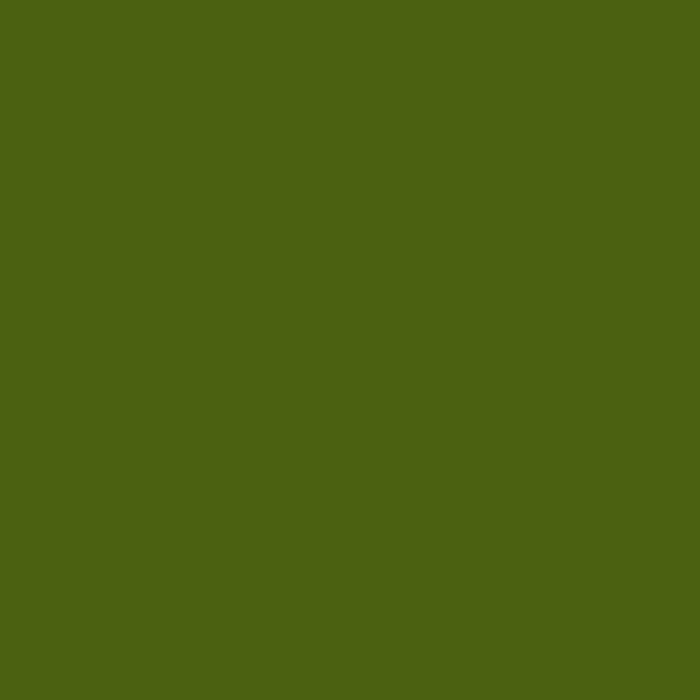 Moss Green 6018