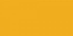 Dark Yellow : YR31
