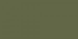 Olive Green Dark : Y225