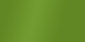 Metallic Light Green 226